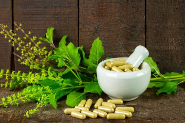 Kutsal fesleğen kapsülü havan topuzu, kabuk ve kırsal ahşap arka planda dal. Kutsal fesleğen yaprağı faydalı bitkilerdir.. 