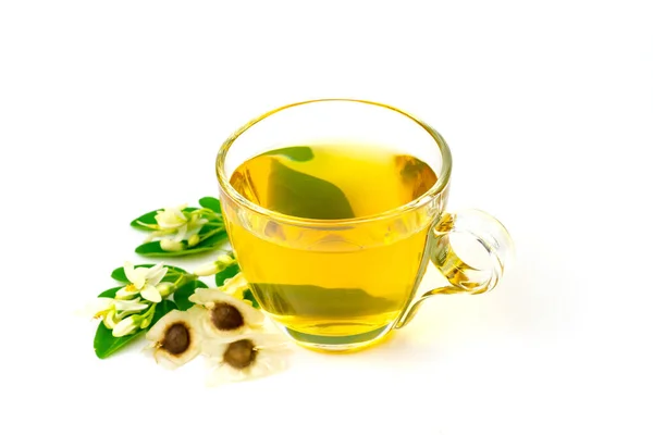 Чай Moringa Прозрачной Стеклянной Чашке Свежим Зеленым Листом Цветком Белом — стоковое фото