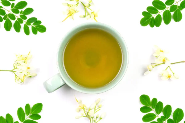 莫林加茶在陶瓷杯与新鲜绿叶隔离的白色背景 顶部的观点 Moringa Oleifera热带草本植物健康生活方式概念 — 图库照片