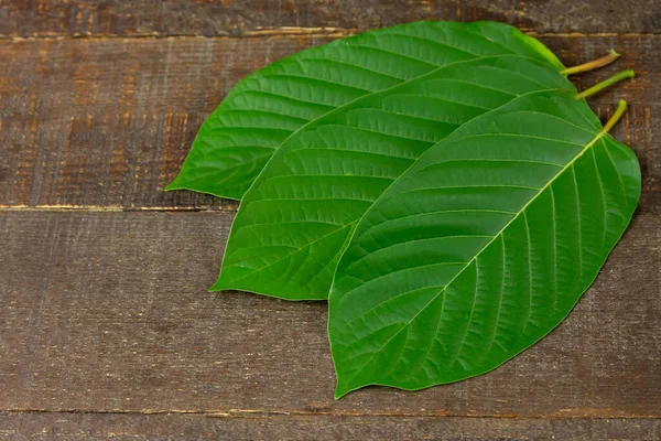 Üç Mitragyna Speciosa Korth veya rustik ahşap masa üzerinde kratom yaprağı.