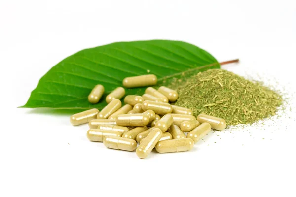 Mitragyna Speciosa Korth Polvo Kratom Cápsula Con Hoja Verde Aislada — Foto de Stock