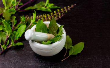Tulsi or Holy basil leaf in mortar with pestle on black wooden table. Tulsi is used in ayurvedic medicine.