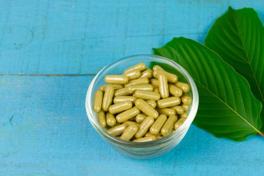 Mitragyna Speciosa Korth or kratom capsules on transparent bowl with green leaf on blue wooden table. 