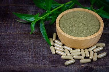 Andrographis paniculata powder in wooden bowl with capsule and green leaf on rustic wooden background.