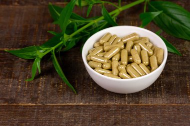 Andrographis paniculata powder in mortar and pestle with capsule and green leaf on rustic wooden background.