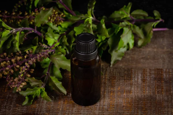 Holy Basil Tulsi Essential Oil Bottle Branch Holy Basil Wooden — Stock Photo, Image