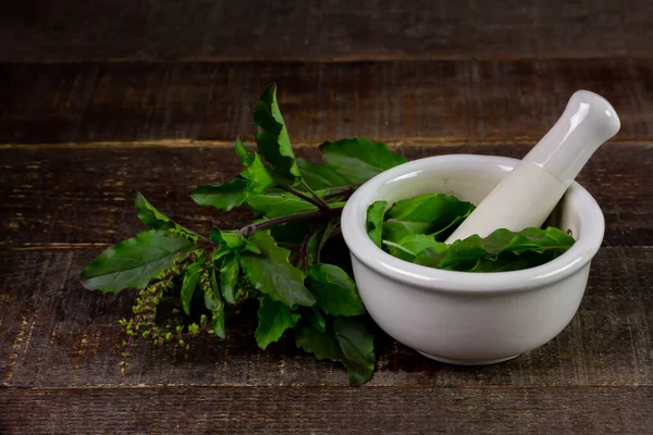 โหระพาศ Tulsi ในมอร ตาร ขาวและพ ชชน ดหน สาขาบนโต ะไม — ภาพถ่ายสต็อก