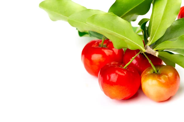 Acerola Cherry or Barbados Cherry with branch and leaf isolated on white background.