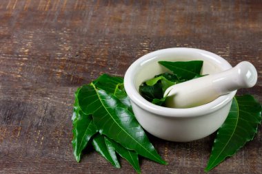 Medicinal Neem leaf in mortar and pestle with neem leaf on rustic background. Green leaf in South East Asia. Azadirachta indica var. siamensis valeton. 