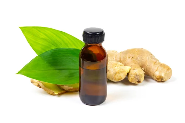 Ginger Essential Oil Bottle Fresh Ginger Green Leaf Isolated White — стоковое фото