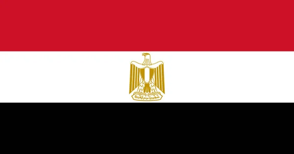 Egypt Vlajka Původním Rgb Barevný Vektor Ilustrační Design — Stockový vektor