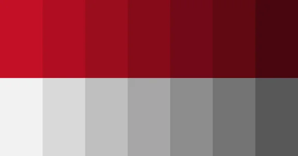 Monaco Flag Image Background — ストック写真