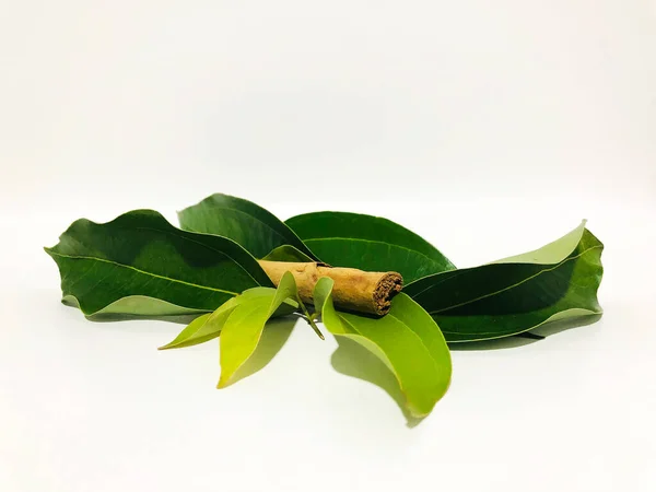 Fragrant Cinnamon Sticks White Background — Fotografia de Stock