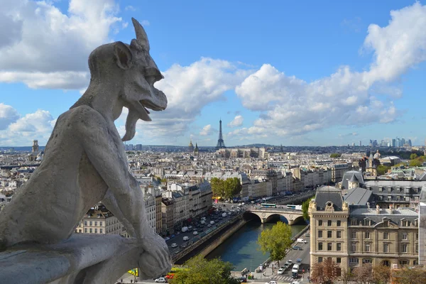 Gargoyle a Notre Dame a Parigi — Foto Stock