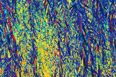 Yeşil yapraklara ve söğüt dallarına dayalı parlak soyutlama, çok renkli arkaplan, değişen renk