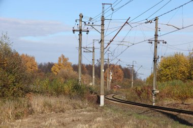 Elektrikli tren yolu, sarı sonbahar çalıları, sonbahar arkaplanı..