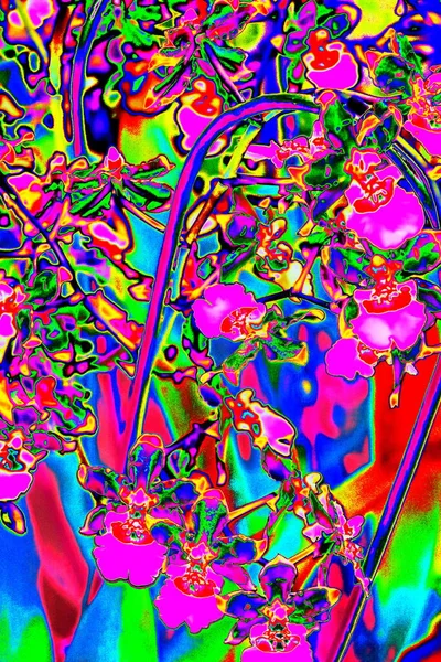 Kolorowa Abstrakcja Temat Orchidei Cambria Zmieniony Kolor Jasne Tło — Zdjęcie stockowe