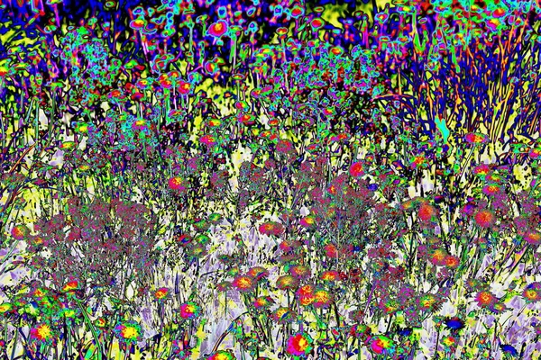 Abstract dandelion field, modified color scheme, colorful floral background in pastel colors.