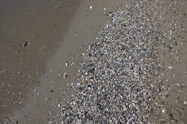 Islak kumda küçük çakıl taşları, kumsalda kum, arka planda çakıl taşı.