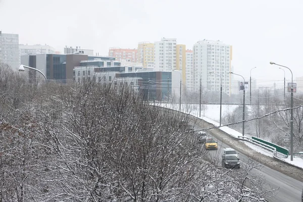 Schneebedeckte Büsche Vor Dem Hintergrund Der Stadtentwicklung Und Einer Autobahn — Stockfoto