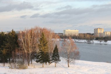 Güneşli bir akşamda nehir. Ağaçlar ve çalılar. Kış manzarası, nehir kıyıları çalılarla kaplı.
