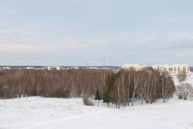 Güneşli bir akşamda nehir. Ağaçlar ve çalılar. Kış manzarası, nehir kıyıları çalılarla kaplı.