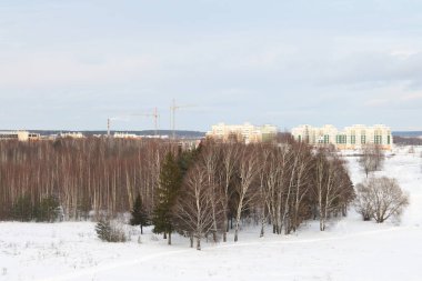 Güneşli bir akşamda nehir. Ağaçlar ve çalılar. Kış manzarası, nehir kıyıları çalılarla kaplı.
