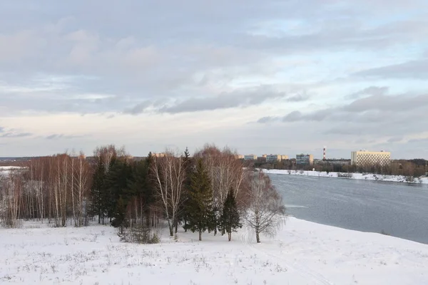 Rivier Een Zonnige Avond Bomen Struiken Landschap Van Winter Natuur — Stockfoto