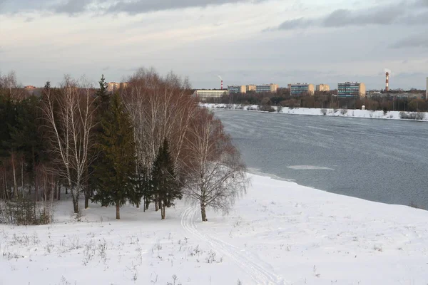 Rivier Een Zonnige Avond Bomen Struiken Landschap Van Winter Natuur — Stockfoto