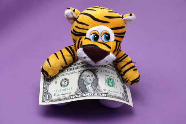 Новогодний тигренок на фиолетовом изолированном фоне. Тигр очень красивое и изящное животное. Держит подарок в запасе