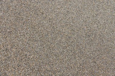 Sahilde ıslak doğa dokusu. en üstteki görünüm