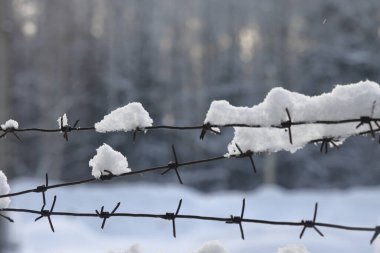 Kışın bulutlu bir günde, arka planda dikenli tel var.
