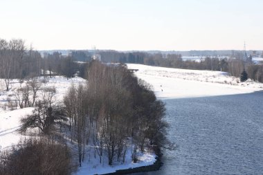 Güneşli bir günde nehir. Ağaçlar ve çalılar. Kış manzarası, nehir kıyıları çalılarla kaplı.