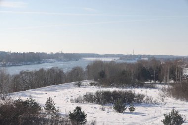 Güneşli bir günde nehir. Ağaçlar ve çalılar. Kış manzarası, nehir kıyıları çalılarla kaplı.