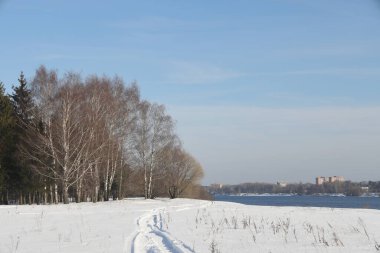 Güneşli bir günde nehir. Ağaçlar ve çalılar. Kış manzarası, nehir kıyıları çalılarla kaplı.