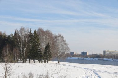 Güneşli bir günde nehir. Ağaçlar ve çalılar. Kış manzarası, nehir kıyıları çalılarla kaplı.