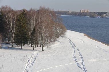 Güneşli bir günde nehir. Ağaçlar ve çalılar. Kış manzarası, nehir kıyıları çalılarla kaplı.