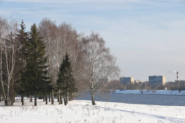 Rivier Een Zonnige Dag Bomen Struiken Landschap Van Winter Natuur — Stockfoto