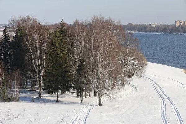 Fiume Una Giornata Sole Alberi Arbusti Paesaggio Della Natura Invernale — Foto Stock