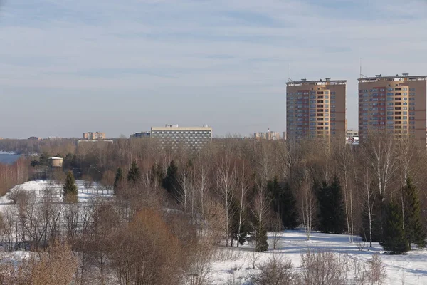 Rivière Par Une Journée Ensoleillée Arbres Arbustes Paysage Nature Hivernale — Photo