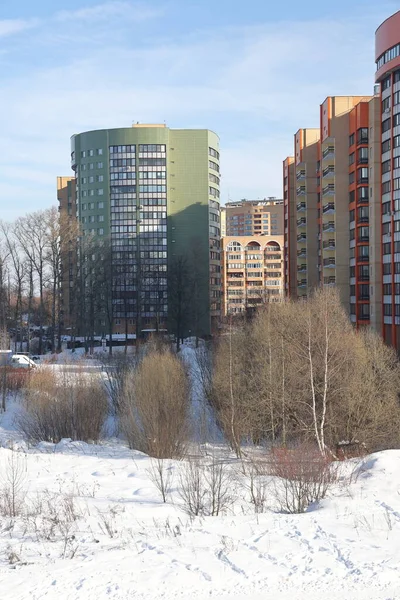 Річка Сонячний День Дерева Чагарники Ландшафт Зимової Природи Береги Річок — стокове фото