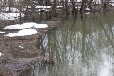 Nehirdeki çamurlu su akıntısı. Çalılar ve ağaçlar karla kaplıdır. Baharın başında. Moskova bölgesi, Şubat 2022