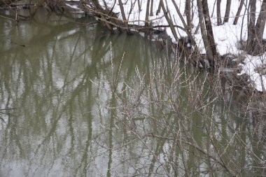 Nehirdeki çamurlu su akıntısı. Çalılar ve ağaçlar karla kaplıdır. Baharın başında. Moskova bölgesi, Şubat 2022