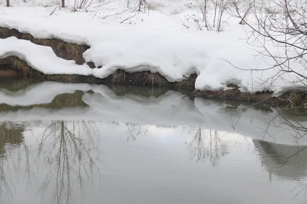 Blátivý Proud Vody Řece Křoví Stromy Jsou Pokryty Sněhem Brzy — Stock fotografie