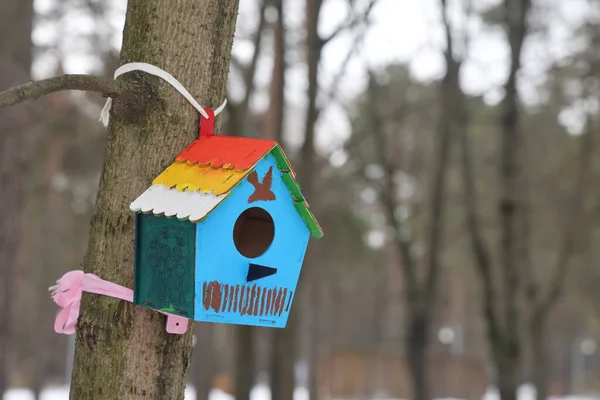 Gekleurde Vogelvoeder Tegen Achtergrond Van Een Besneeuwd Bos Wintervogelverzorging — Stockfoto