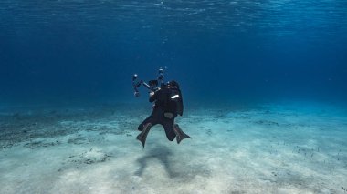 Profesyonel dalgıç, sualtı görüntü yönetmeni Curacao çevresindeki Karayip Denizi 'nin mercan resifinde çekim yapıyor.