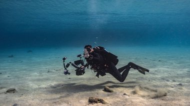 Profesyonel dalgıç, sualtı görüntü yönetmeni Curacao çevresindeki Karayip Denizi 'nin mercan resifinde çekim yapıyor.