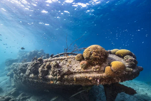 Paisaje Marino Con Restos Lanchas Varios Peces Coral Esponja Arrecife — Foto de Stock