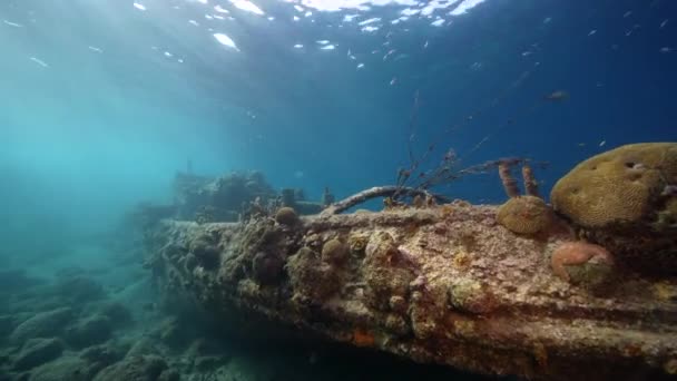 カリブ海のサンゴ礁でツグボート難破船と海 キュラソー島 — ストック動画