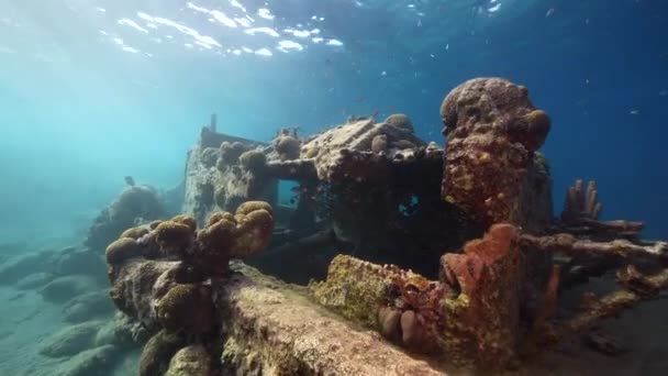 Laut Dengan Tugboat Wreck Terumbu Karang Laut Karibia Curacao — Stok Video